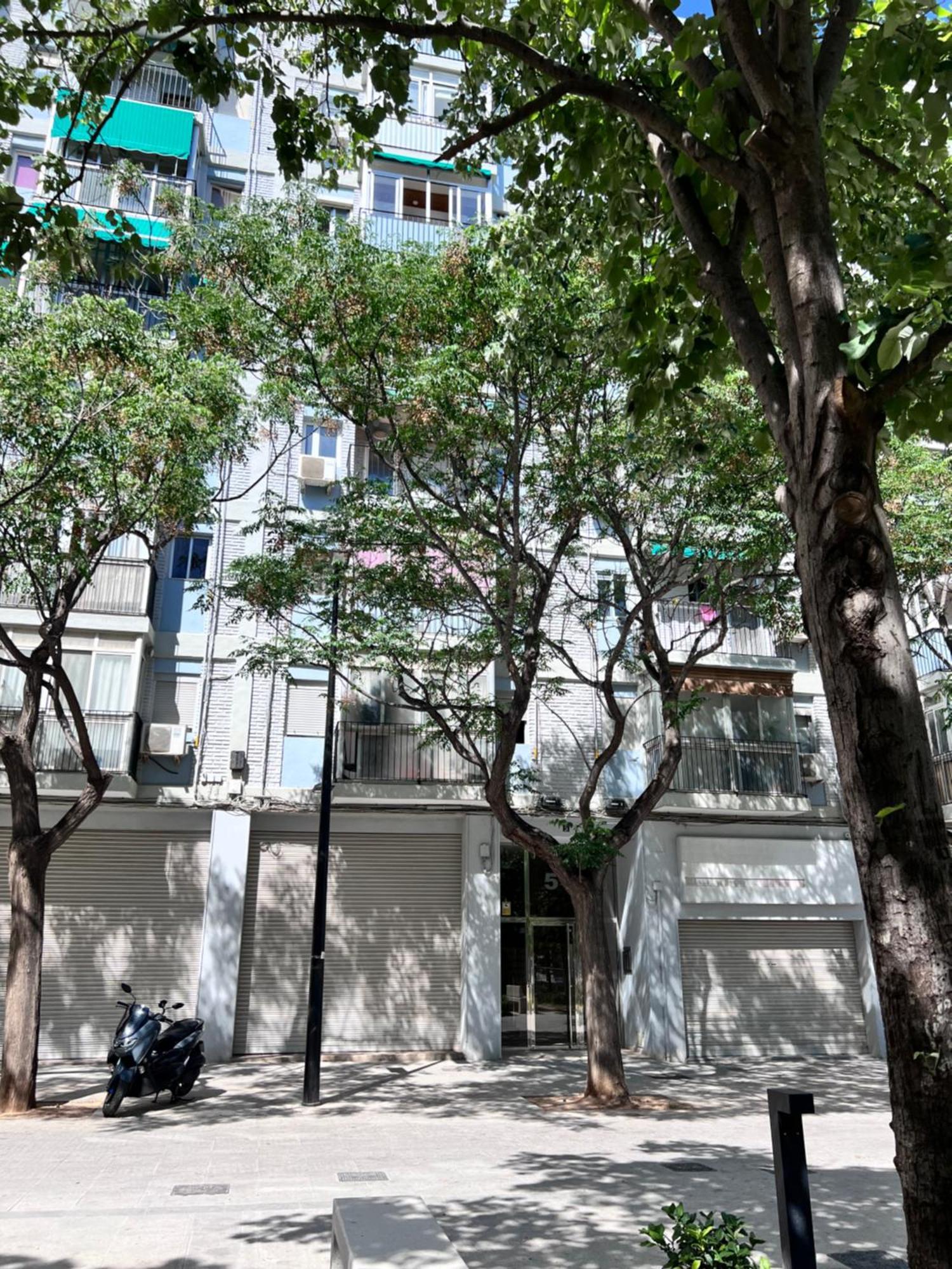 バレンシアPlaza Sainetero Arnichesアパートメント エクステリア 写真